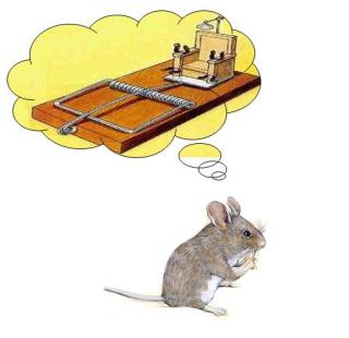 قصة قصيرة وعبرة: الفأر والمصيدة M
